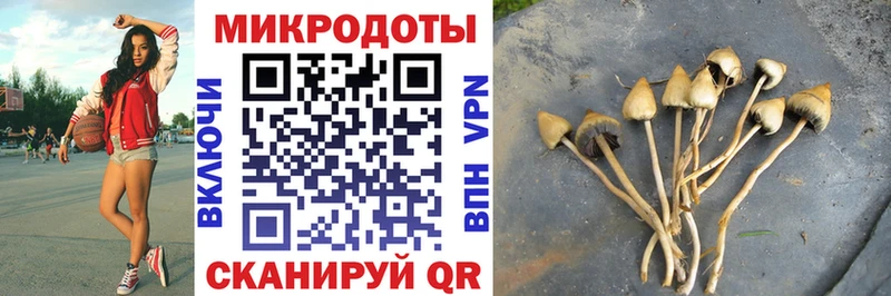 Псилоцибиновые грибы Psilocybe  как найти закладки  Гаврилов-Ям 